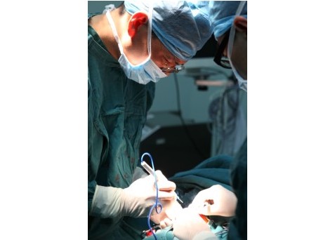 浙江省儿童医院烧伤整形科预约挂号介绍-门诊时间-专家挂号排班电话咨询-化验单查看