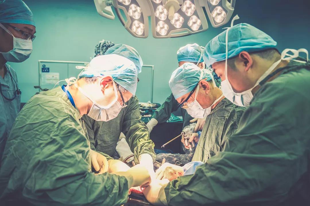 杭州浙二医院网上预约挂号-浙大二院王伟林教授团队成功完成浙江省首例成人供肝两小儿受体劈离式肝移植